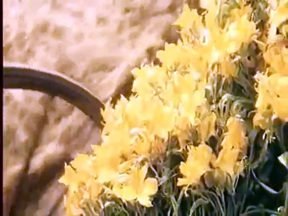 LES SOEURS BRONTË - Bande-annonce