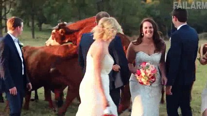 Bu insanlar neden yaşıyor Varlığına tahammül edemeyeceğiniz en gereksiz primatlar