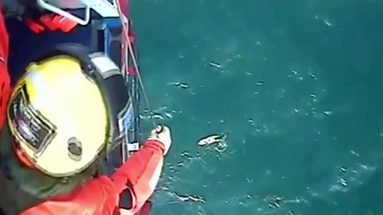 Missing surfer found alive after 32 hours returns to coast