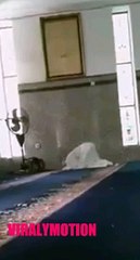 Penampakan iblis kesurupan lagi sholat || Video paling viral