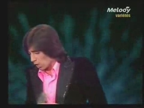 Ringo Willy Cat Les oiseaux de Thaïlande