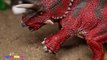 Videos de Dinosaurios Rex v_s Pentaceratops