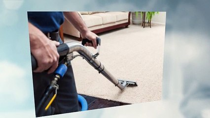 Choose the best carpet cleaning experts