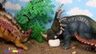 Videos de Dinosaurio Tyrannosaurus Rex v_s Pentaceratops  Schleich Dinosaurs Toys