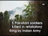 5 Pakistani soldiers killed in retaliatory firing by Indian Army