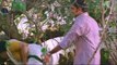 Sreejith Hugs Shwetha Menon - Rathinirvedam Romantic Movie Scenes