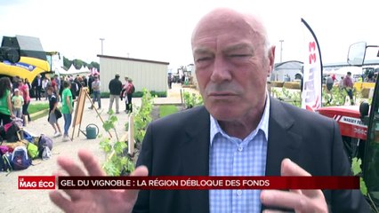 Le mag Eco avec André Delpont, expert en développement économique des métropoles -