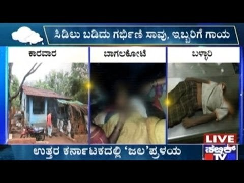 Gadag: Bus Drowns Into Water, Villagers Make An Effort To Rescue Passengers & Bus