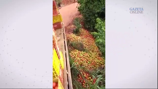 Vídeo mostra produtores rurais jogando tomate fora