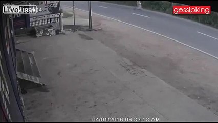 LiveLeak - Dog Causes Rickshaw Accident