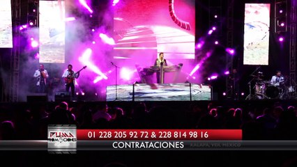 El pavo y la pava - Nelson Kanzela