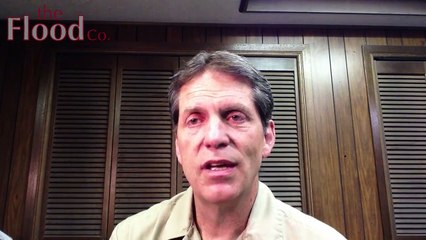 Mold Stain Remover Does Not Remove The Mold - The Flood Co. 801-294-7452