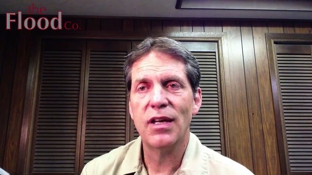 Mold Stain Remover Does Not Remove The Mold - The Flood Co. 801-294-7452