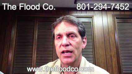 Crawl Space Mold - The Flood Co. - 801-294-7452