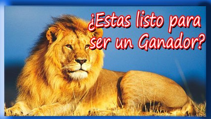 5 Tips Poderosos Para Tener Una Autoconfianza De Acero by Boykahe