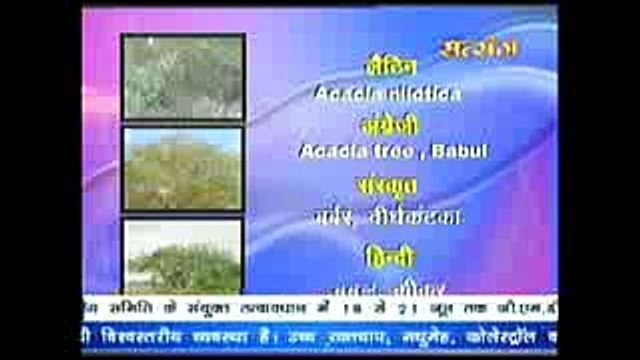 Babul ~ बबूल के औषधीय गुण Part 2 # Acharya Balkrishna