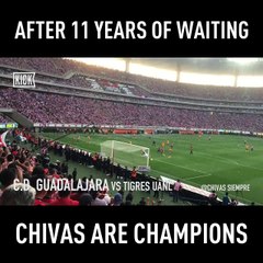Waiting more than a decade for a title Chivas fans got a little crazy! 