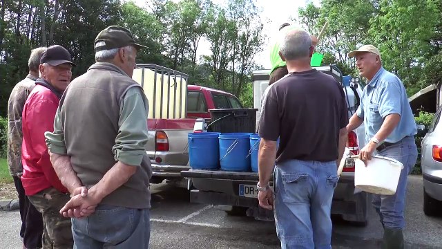 Hautes-Alpes : 80 kg de truites lâchées dans le torrent des Moulettes et l'Avance
