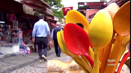 Tahta Kaşık Tehlikeli Mi?