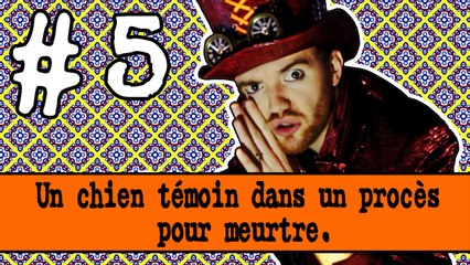 Jovany/PresqueLogique : un chien témoin dans un procès pour meurtre #5