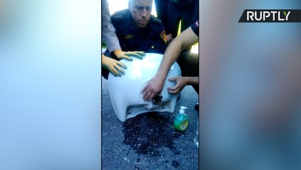 Curiosity Almost Killed the Cat - Rescue Team Frees Kitten Stuck in a Sink