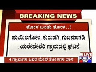 People Of 4 Villages Attacked By Wolves Severely Injured