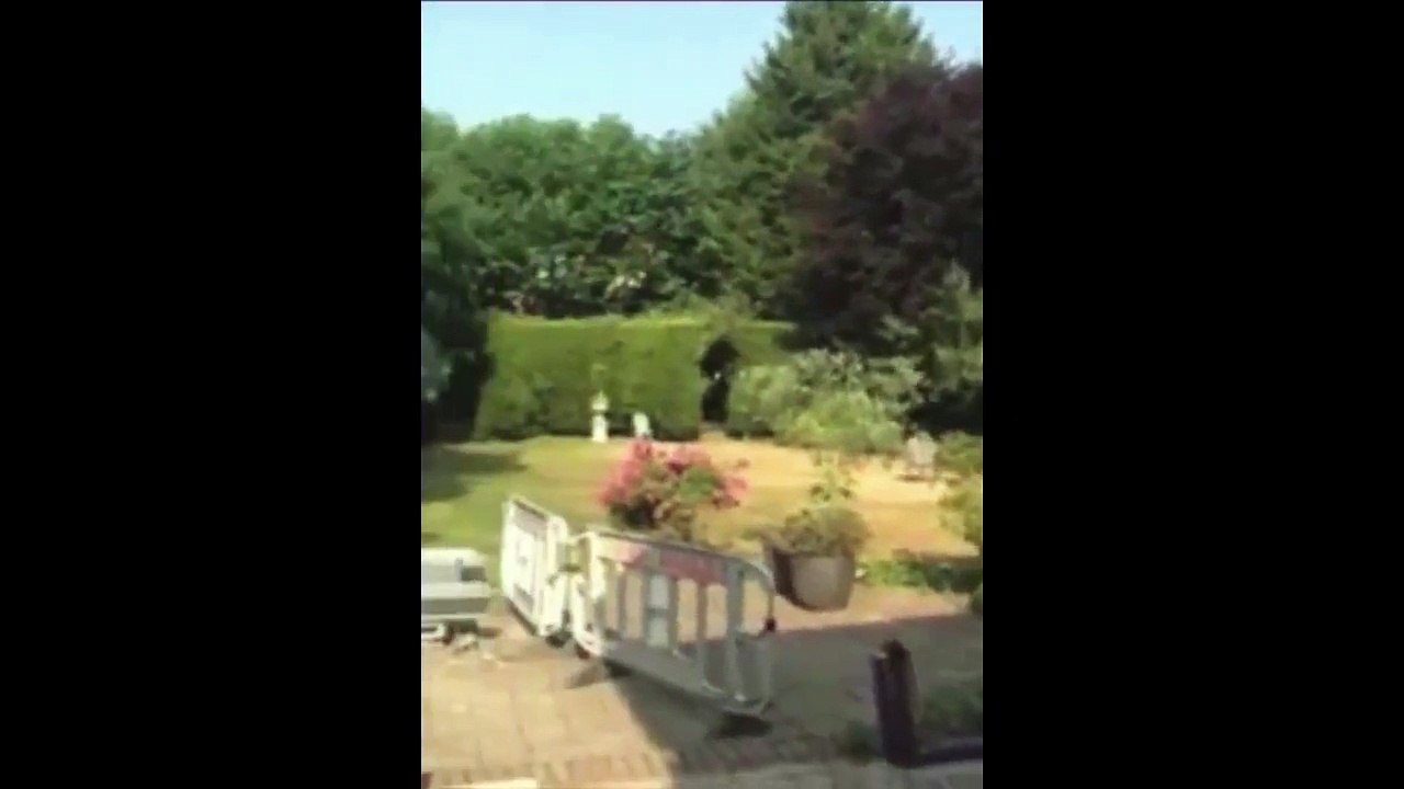 Weak Ceiling Makes For A Great Surprise Entrance