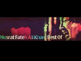 NUSRAT FATEH ALI KHAN - Saya Bhi Saath Jab Chhor Jaye (Special Version)