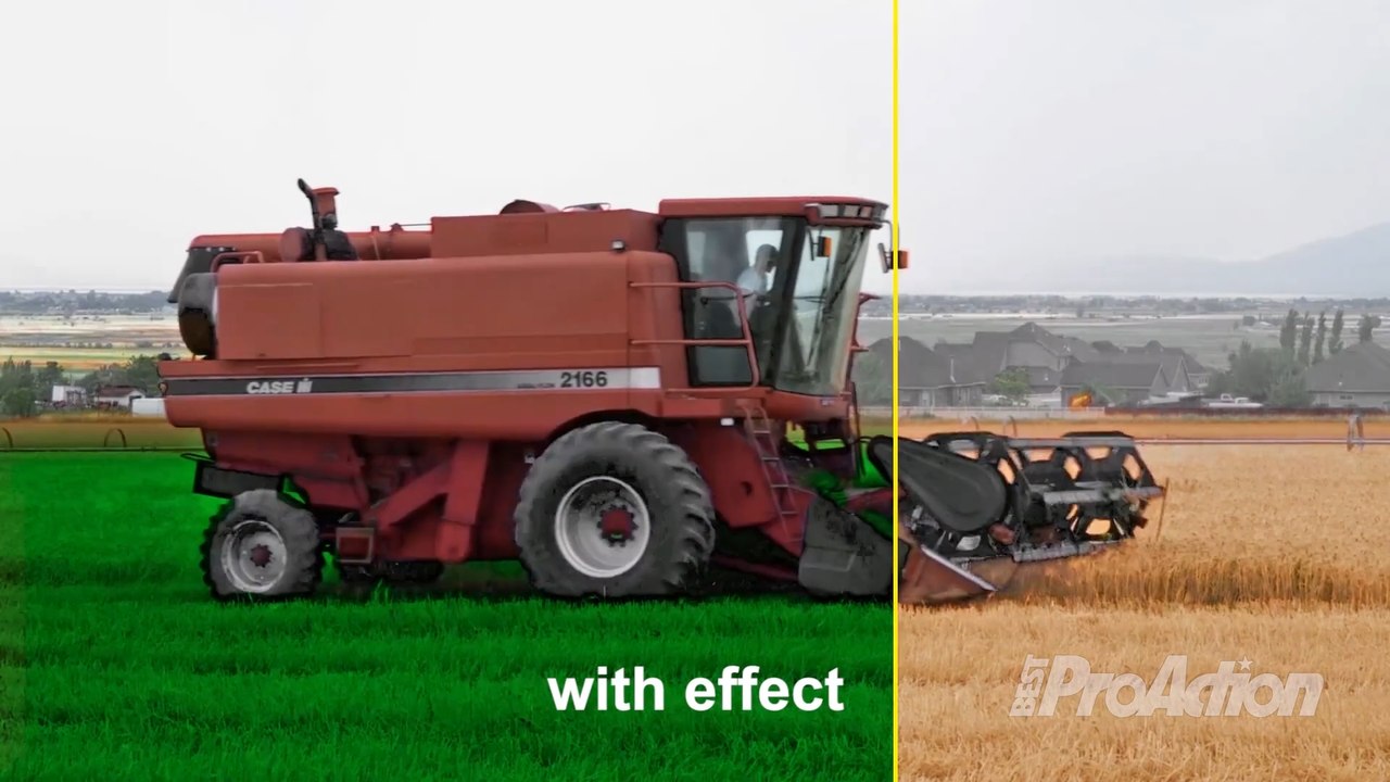 How Did You Do That? E78 - Turning Yellow Grass Green