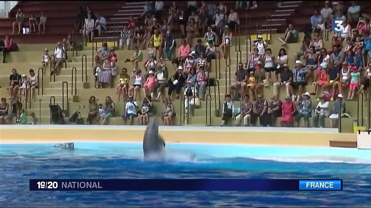Marineland : la grogne des soigneurs après l'interdiction de reproduction des orques et des dauphins