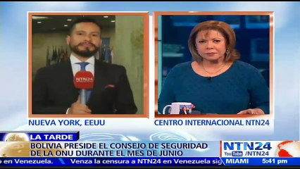 Sacha Llorenty, nuevo presidente del Consejo de Seguridad de la ONU, dice que no le corresponde al organismo tratar la c