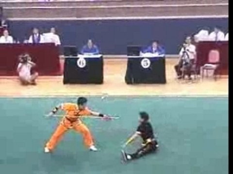 kung fu wushu - duilian