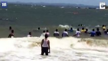 Group of 20 helpless whales trapped in shallow waters in Sri Lanka are rescued by sailors