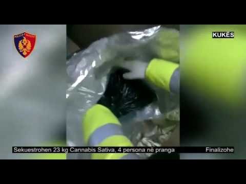 Prita - Kapen me 23 kg kanabis në furgon, katër të arrestuar në Kukës