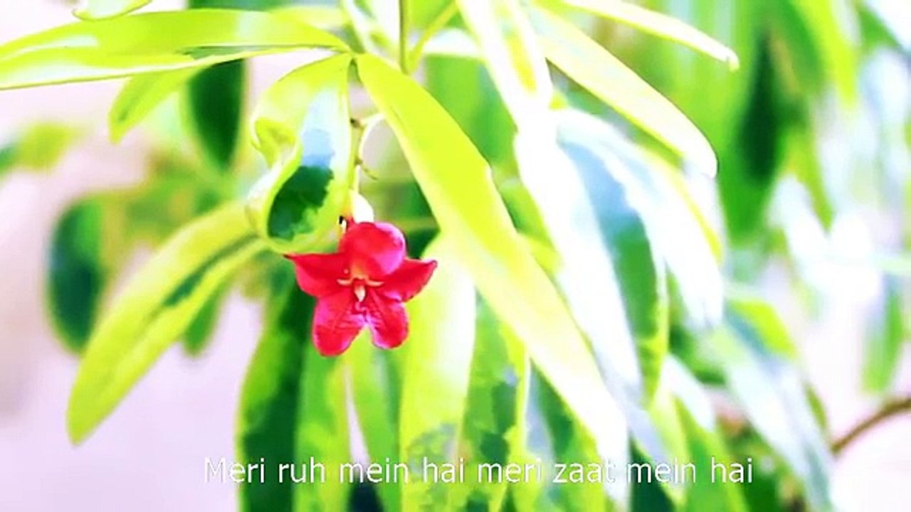 Main Tera Faqeer Malang Khuda Hamd O Naat by Shahana Shaikh [ Shahana Shaukat ]