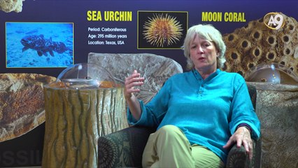 About Mr. Adnan Oktar's works