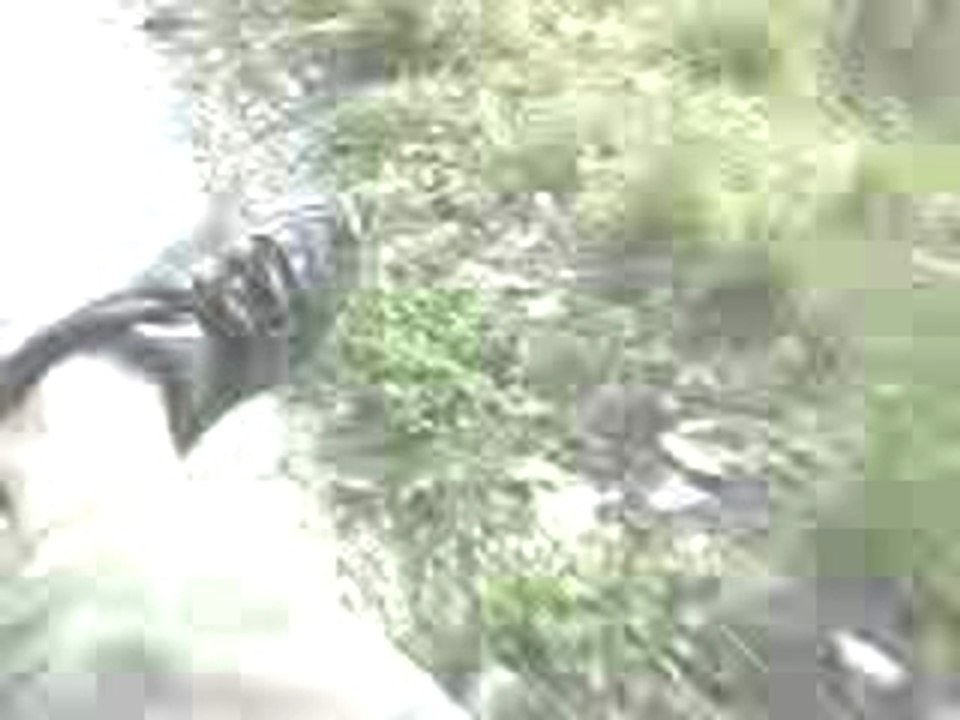 Video-0007