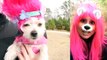 Trolls Puppy Makeover (Poppy, Branch234234wermworks New Movie