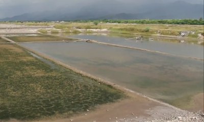 Berwisata Sambil Belajar di Hutan Mangrove Putri Menjangan