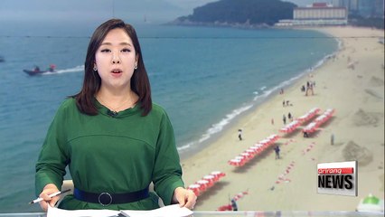 Beaches in Busan open for summer season