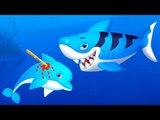 Sea Animal Doctor - Baby Learn How to Care Sea Animal with Libii Doctor Kids