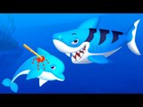 Sea Animal Doctor - Baby Learn How to Care Sea Animal with Libii Doctor Kids