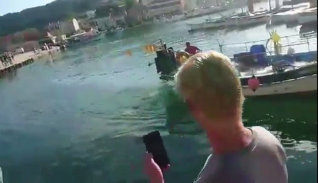 Des pecheurs pas très fair play harponnent un marlin dans le port devant des touristes pas content du tout!