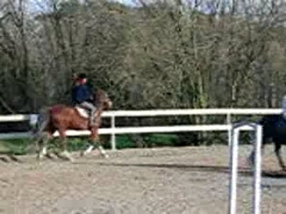 eQuitation