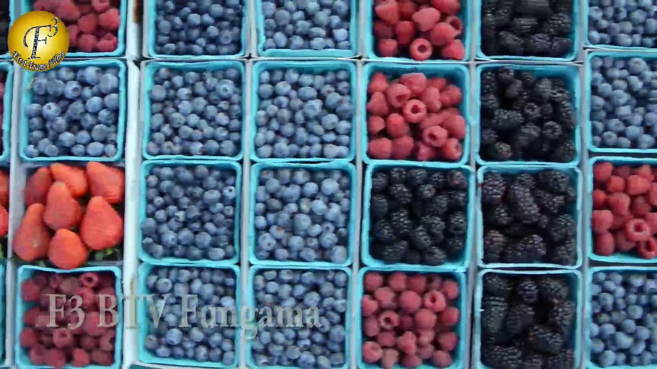 Sunny Leone Launch Peta Newest Vegetarian Campaign