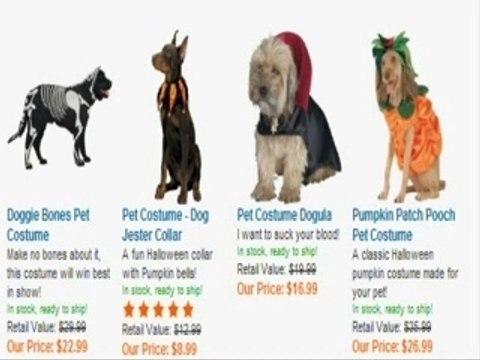 Pet Halloween Costumes - Pet Halloween Costume
