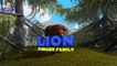 Lion Finger Family 3D _ Animals Cartoons Finger Family Children Nursery Rhymes-Ufk4Zfml