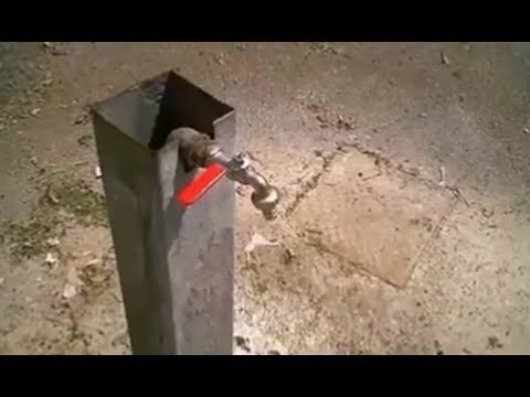 Aversa (CE) - Acqua sprecata al cimitero, riparate le fontanelle (01.06.17)