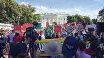 Crowd Boos Outside White House after Trump Announces Paris Climate Pact Withdrawal