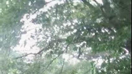 2 HD Severed Hand FX (green screen)